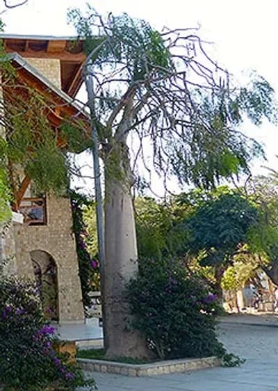 Hôtel de Catégorie moyenne sur la Côte Sud Ouest