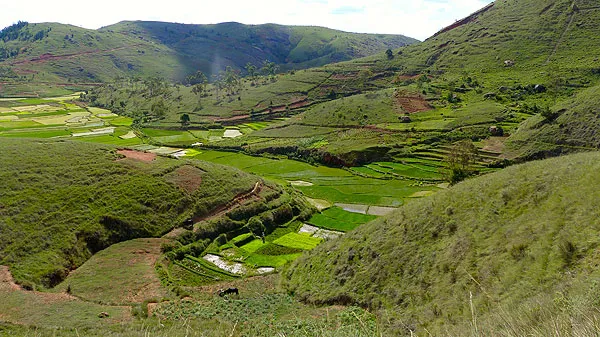 Collines Entete