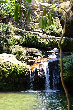 Massifs et plateaux de Madagascar.