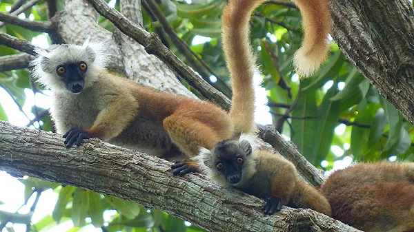 Ile de Nosy Be à Madagascar.